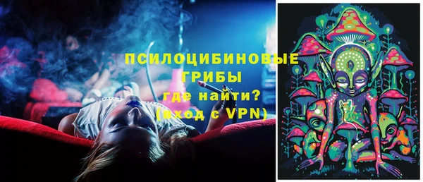 прущие крисы Абаза