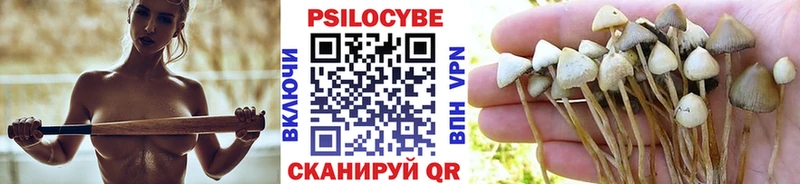 Псилоцибиновые грибы мицелий  Димитровград 