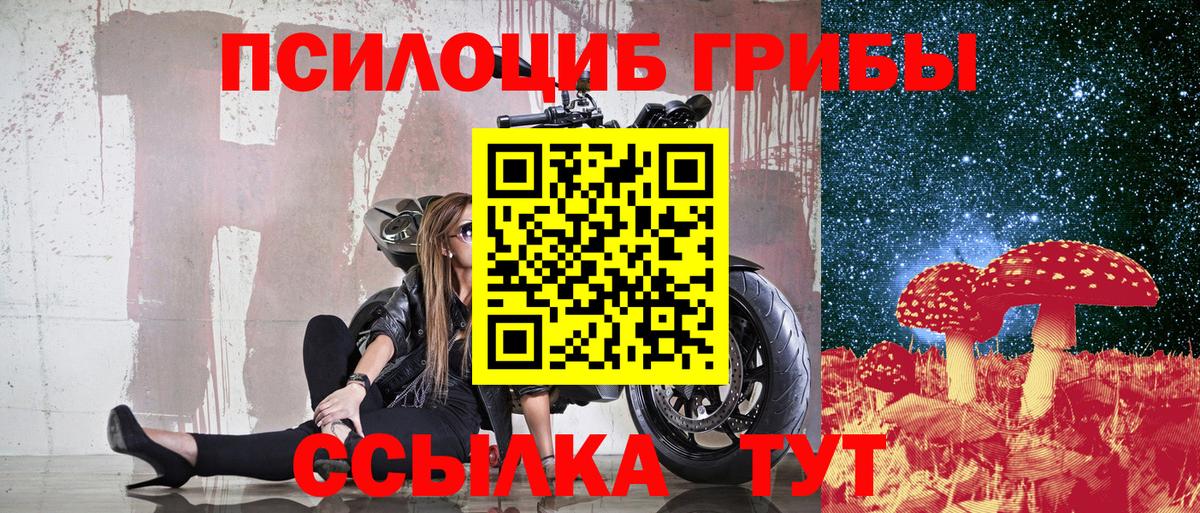 Галлюциногенные грибы Magic Shrooms  Галлюциногенные грибы MAGIC MUSHROOMS  Димитровград  Вход с VPN 